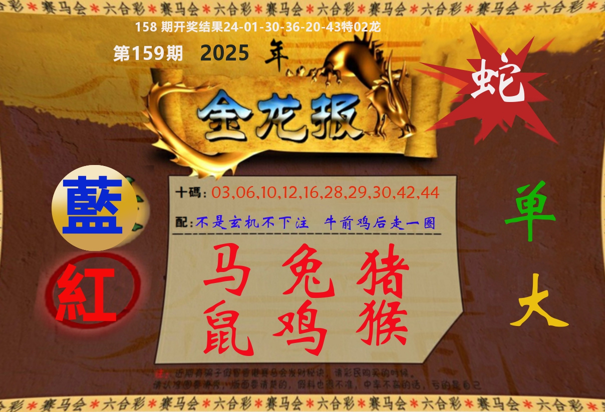金龙报 第159期