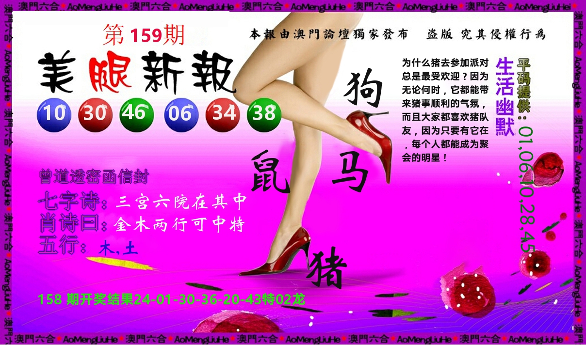 美腿新报 第159期