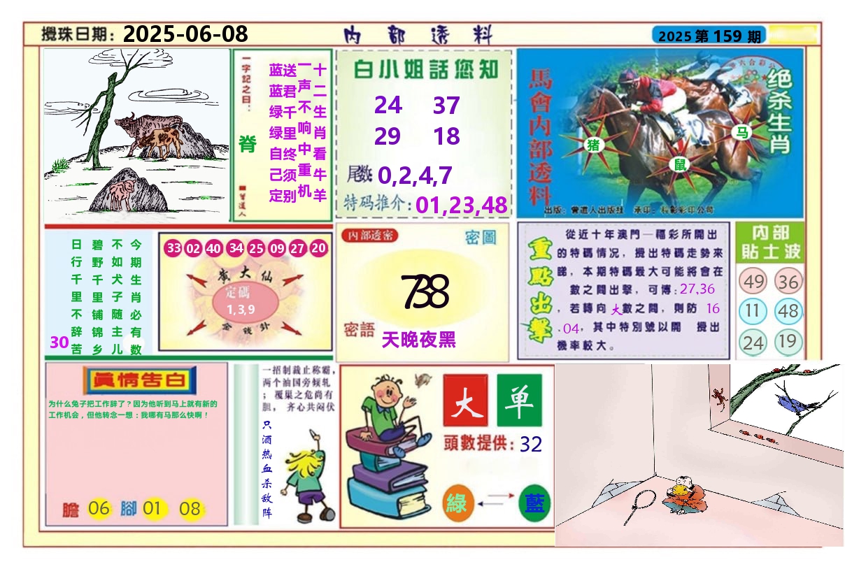 澳门内部透料A 第159期