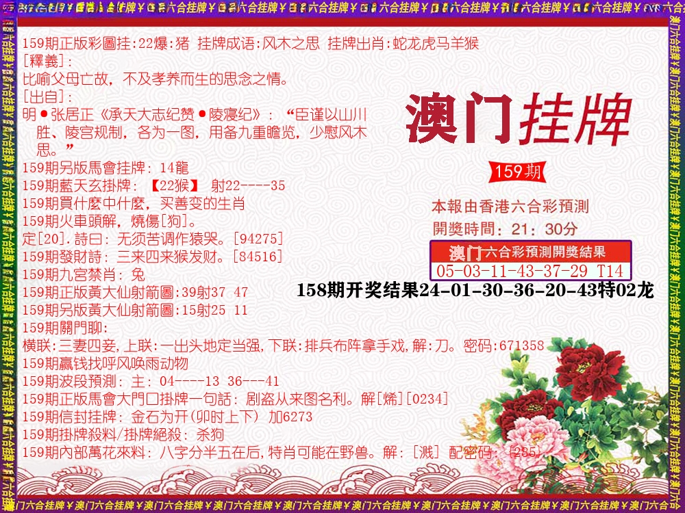 澳门挂牌 第159期