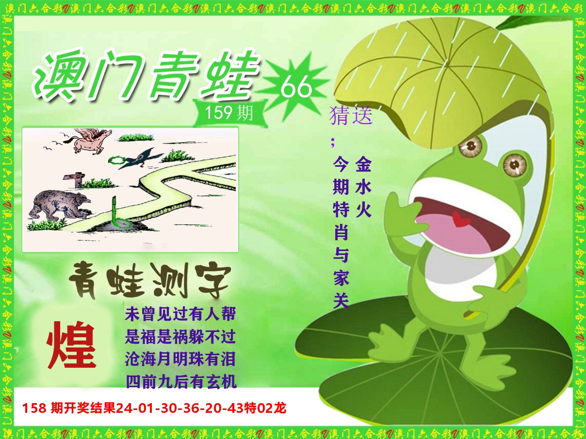 青蛙系列66 第159期
