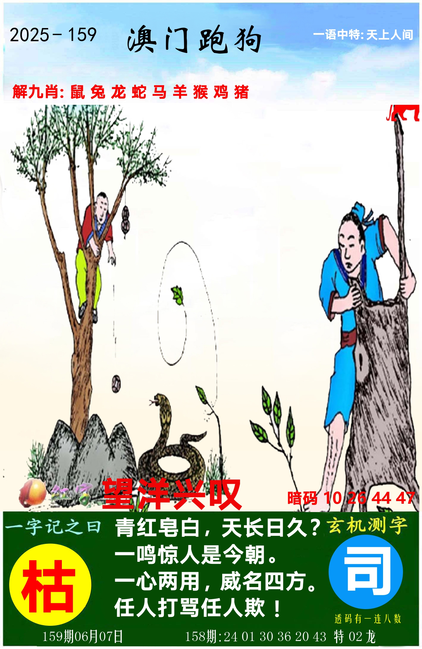 澳门跑狗图 第159期