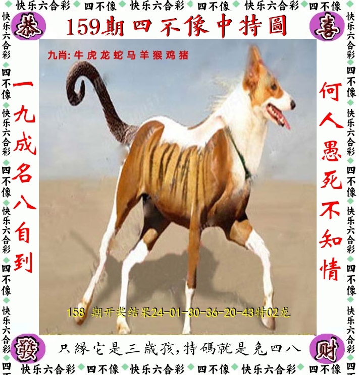 四不像 第159期