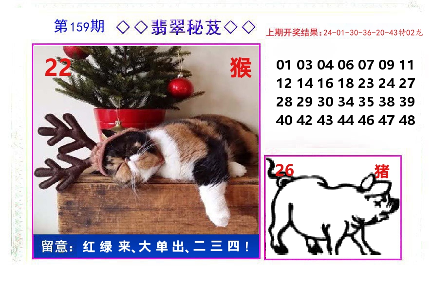 翡翠秘芨 第159期