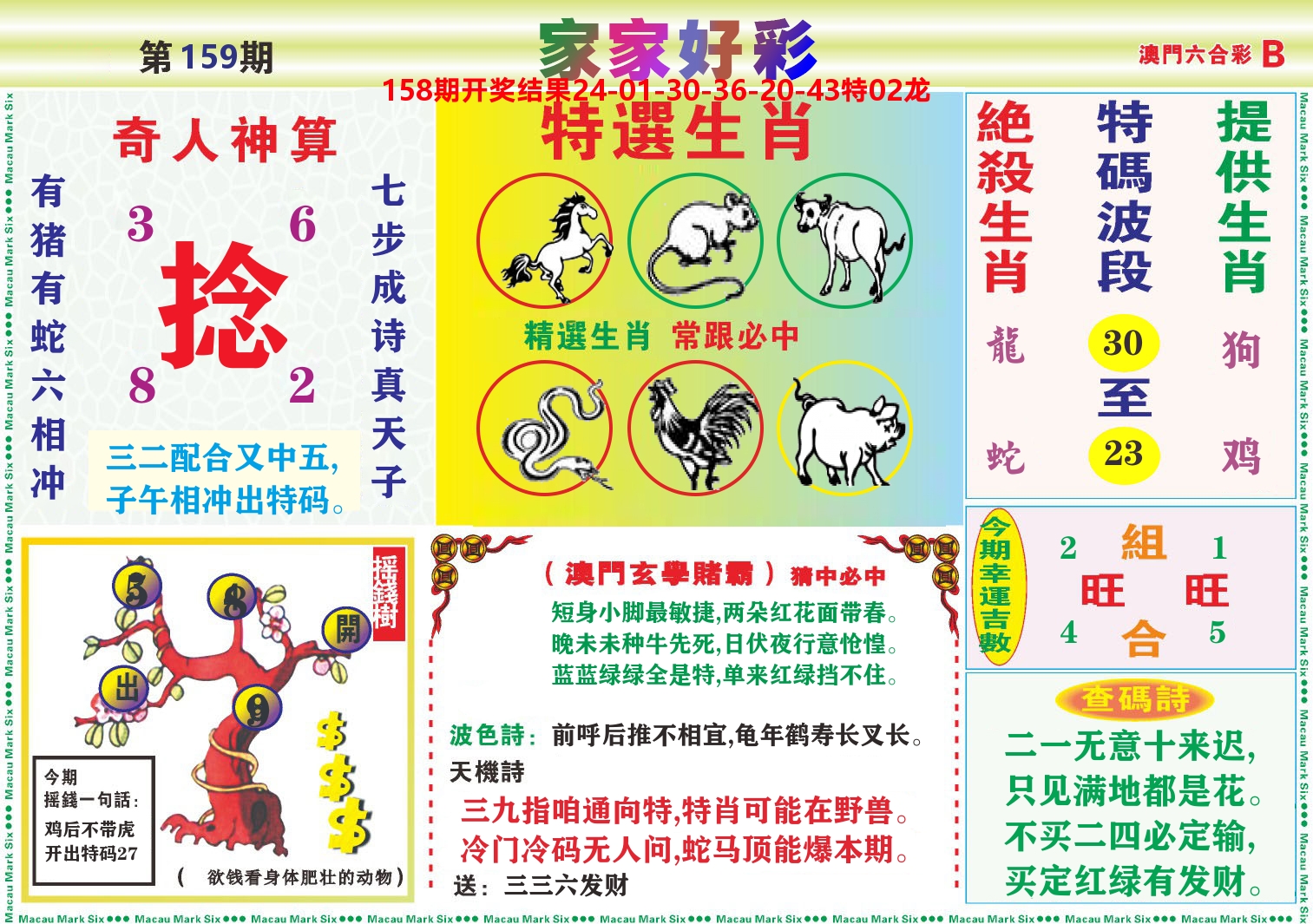 家家好彩B 第159期