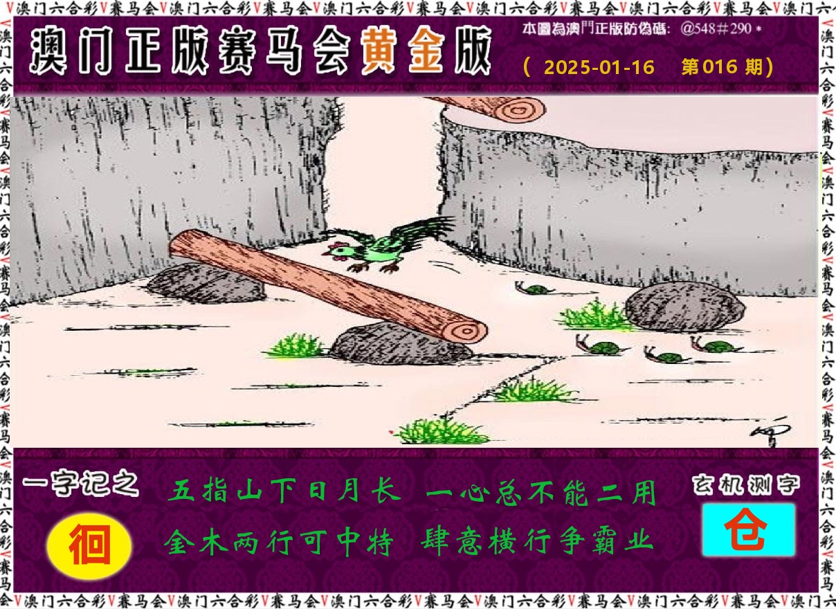 赛马会黄金版 第16期