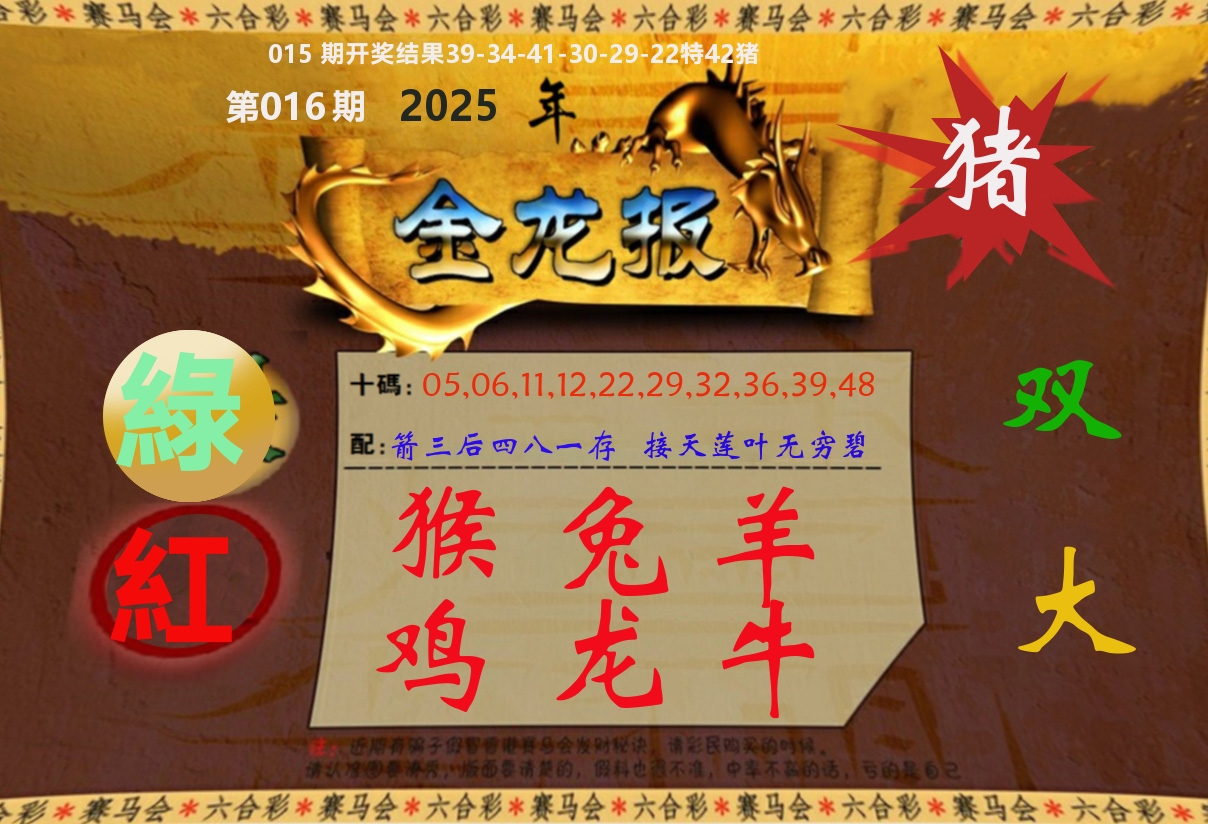 金龙报 第16期