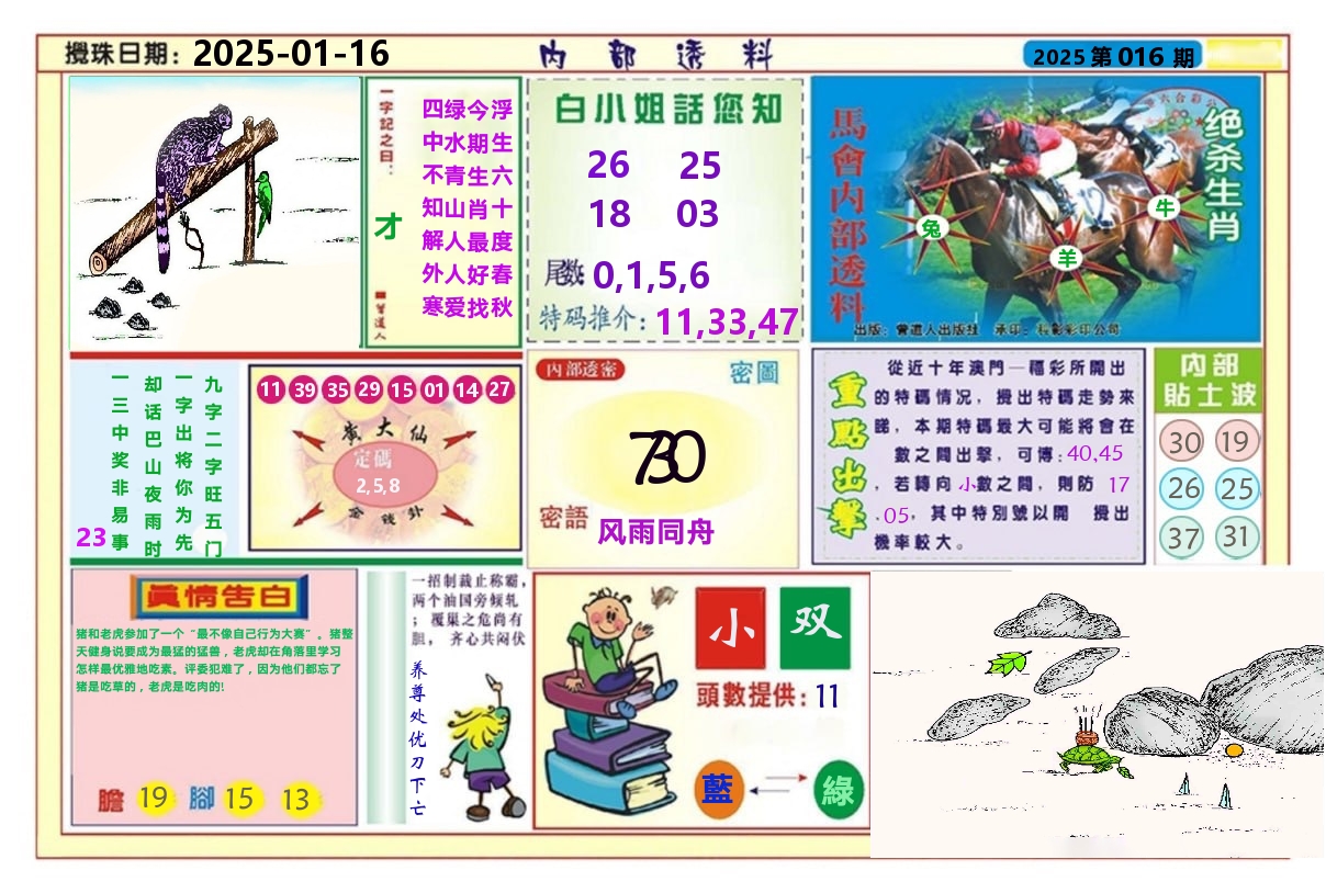 澳门内部透料A 第16期