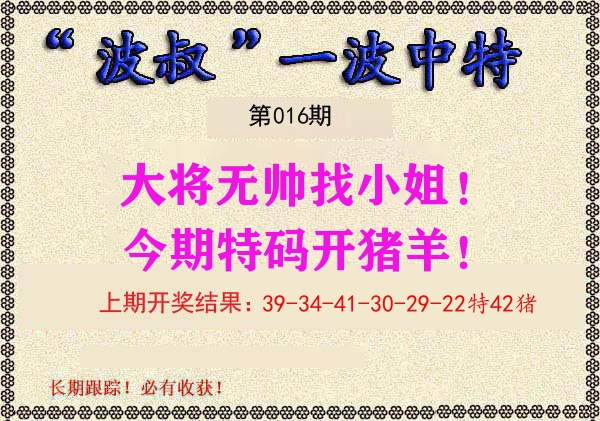 波叔中特 第16期