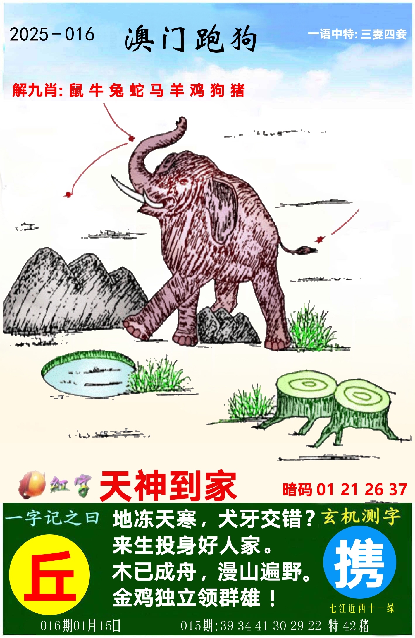 澳门跑狗图 第16期