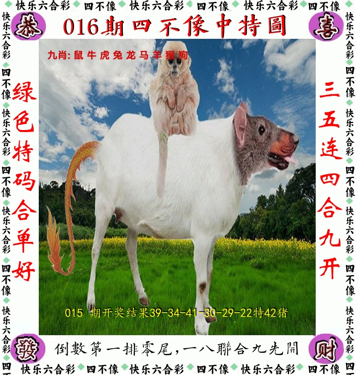 四不像 第16期