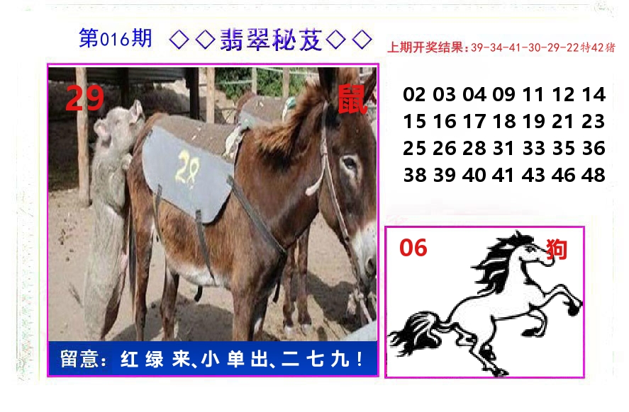 翡翠秘芨 第16期