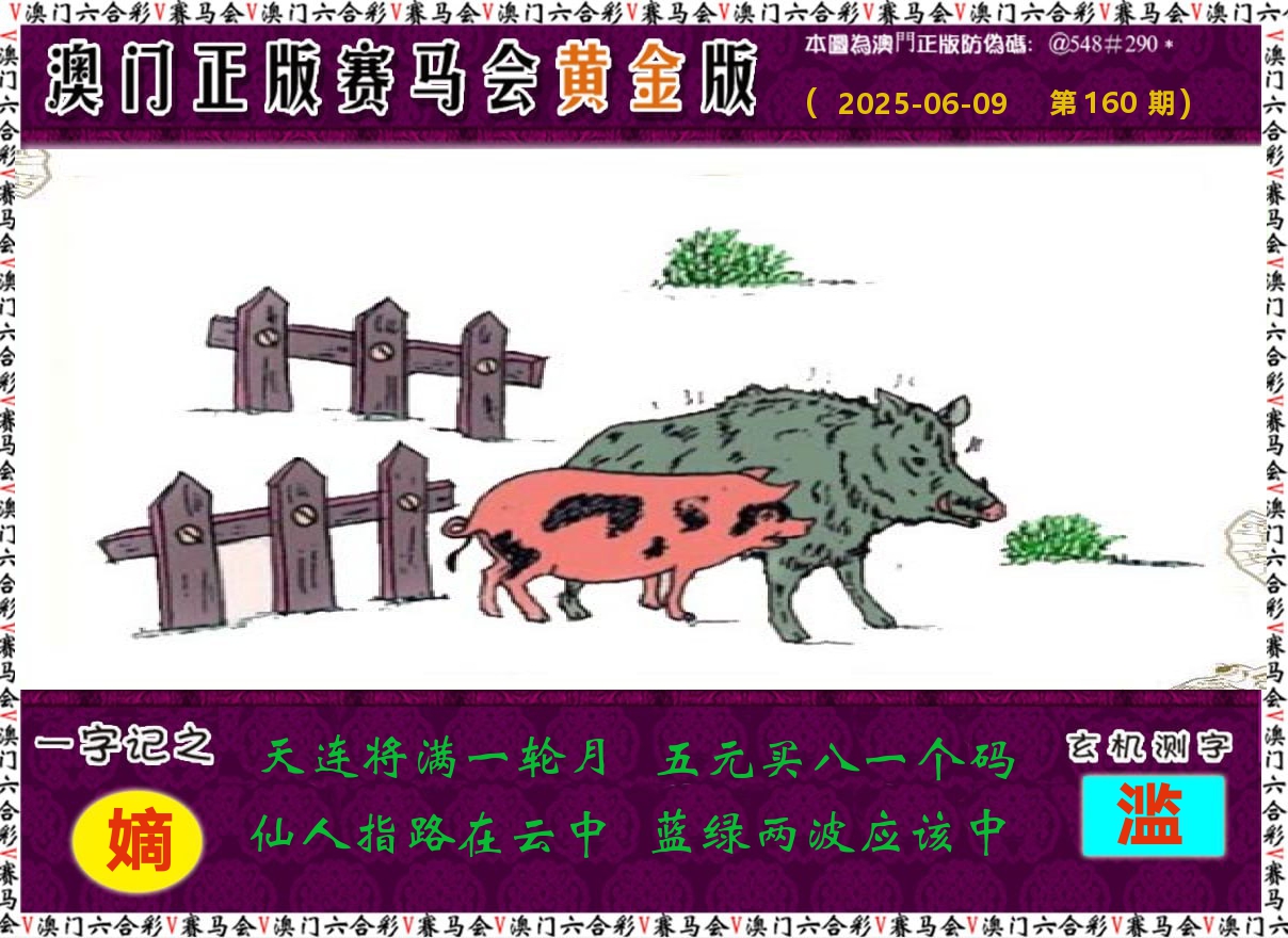 赛马会黄金版 第160期