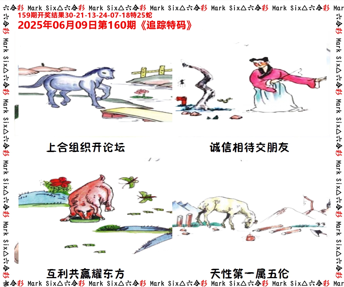 追踪特码 第160期