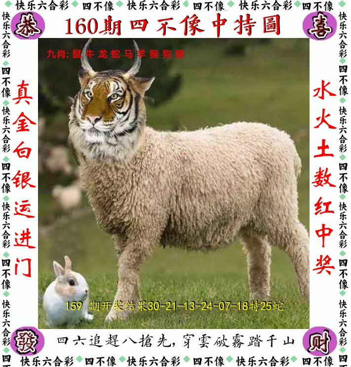 四不像 第160期
