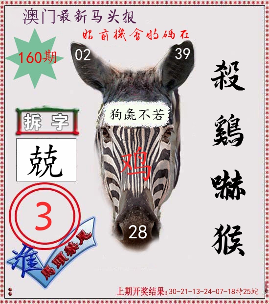 马头报 第160期