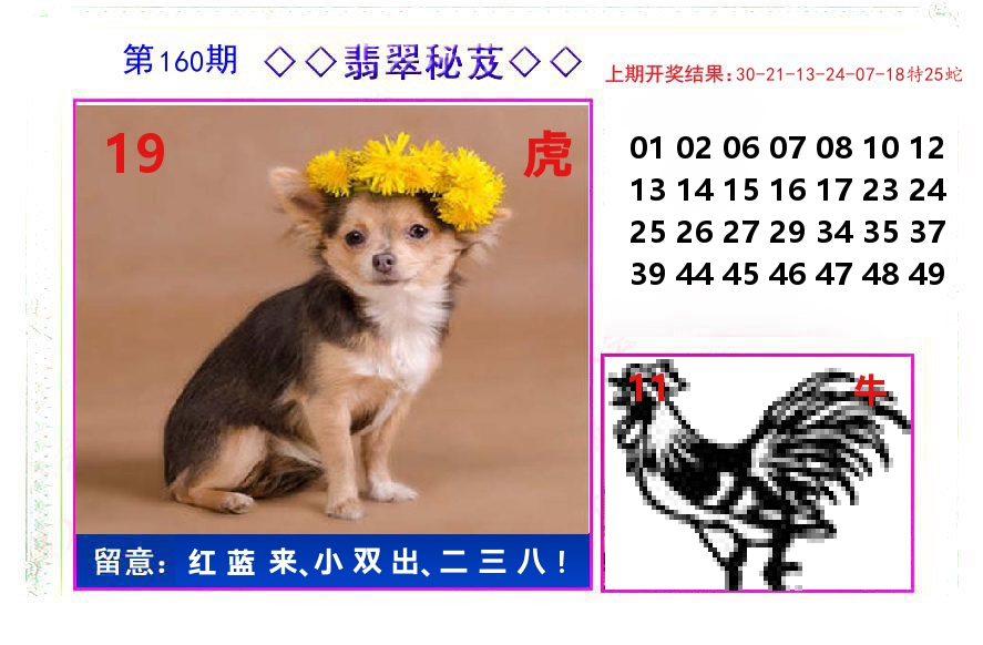 翡翠秘芨 第160期