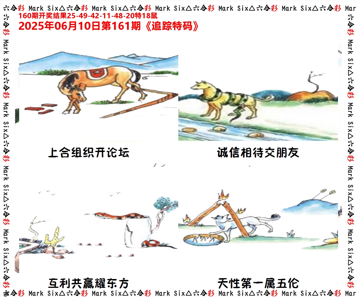 追踪特码 第161期