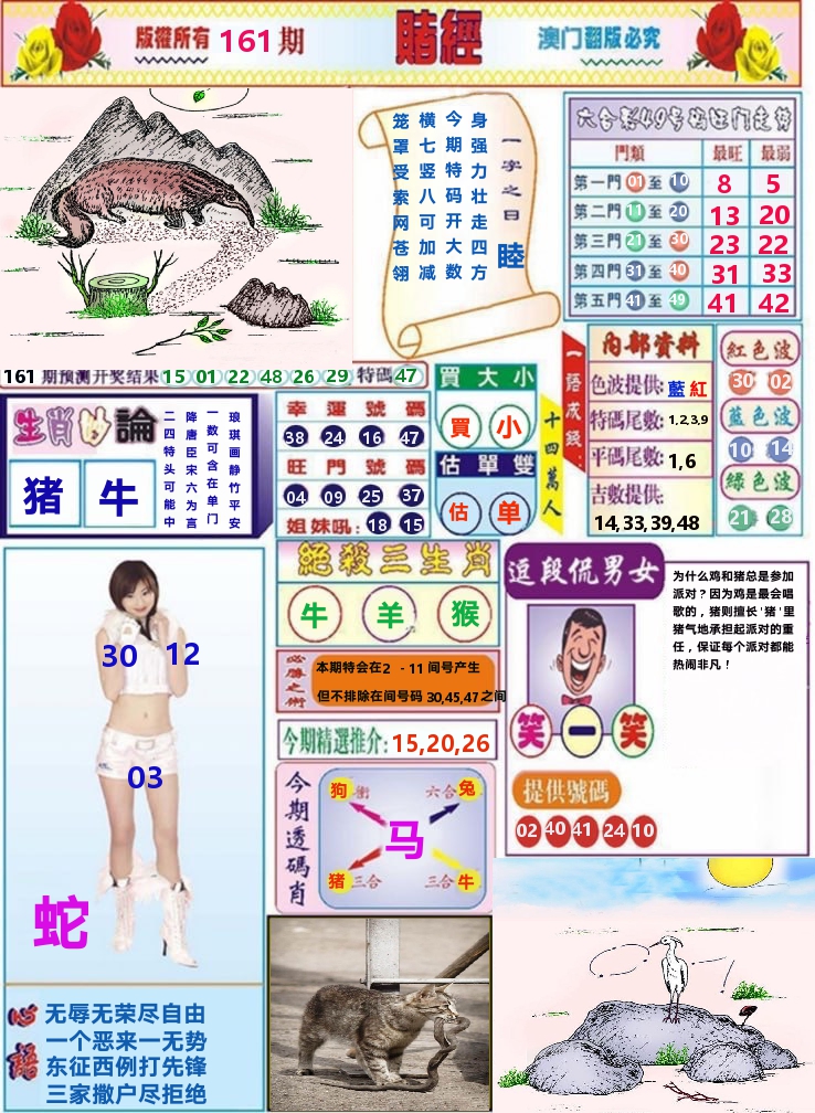 澳门赌经 第161期