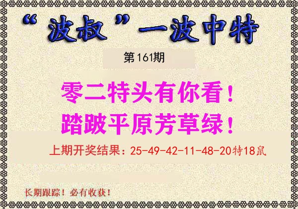 波叔中特 第161期