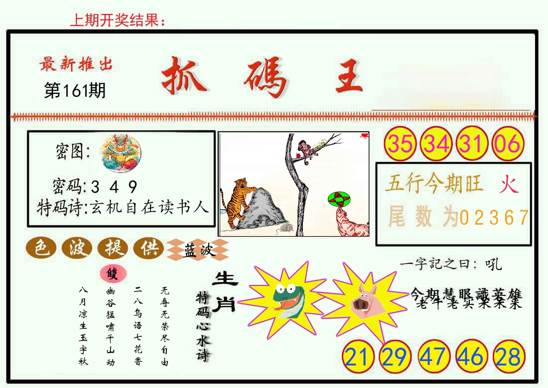 最新抓码王 第161期
