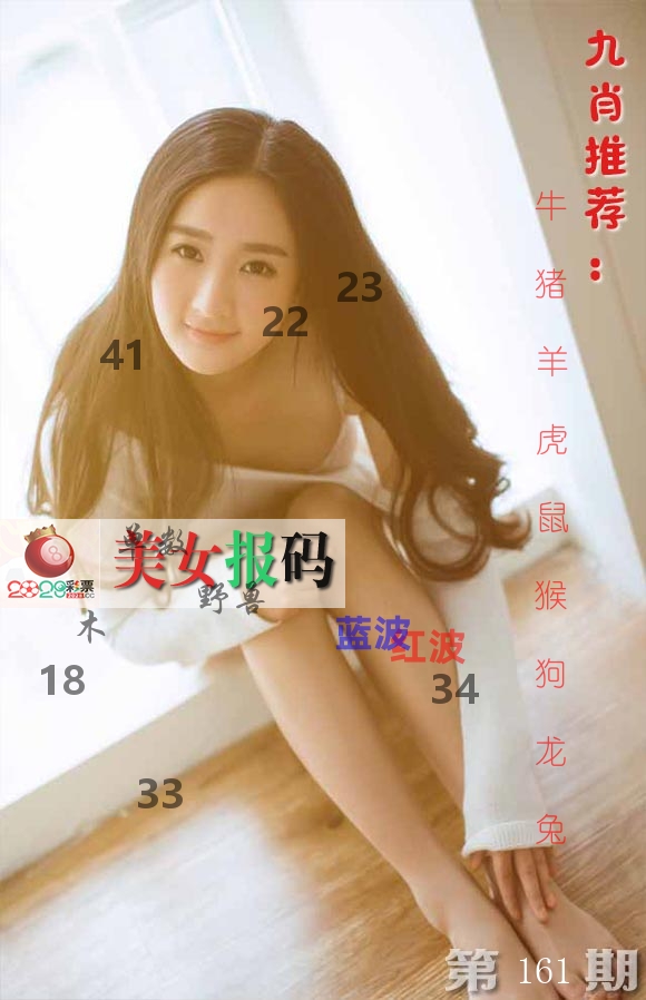 美女报码 第161期