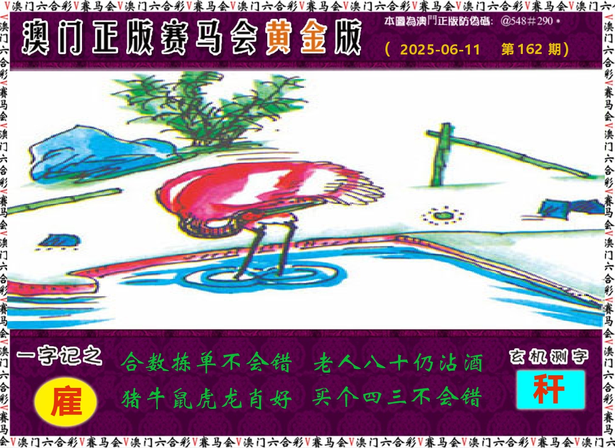 赛马会黄金版 第162期