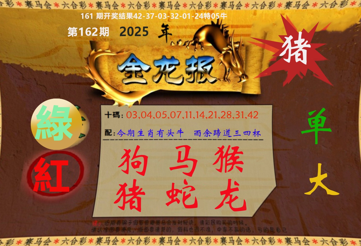 金龙报 第162期