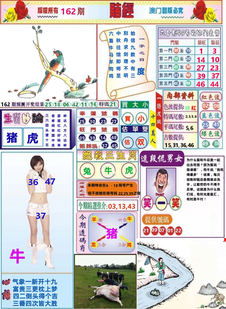 澳门赌经 第162期