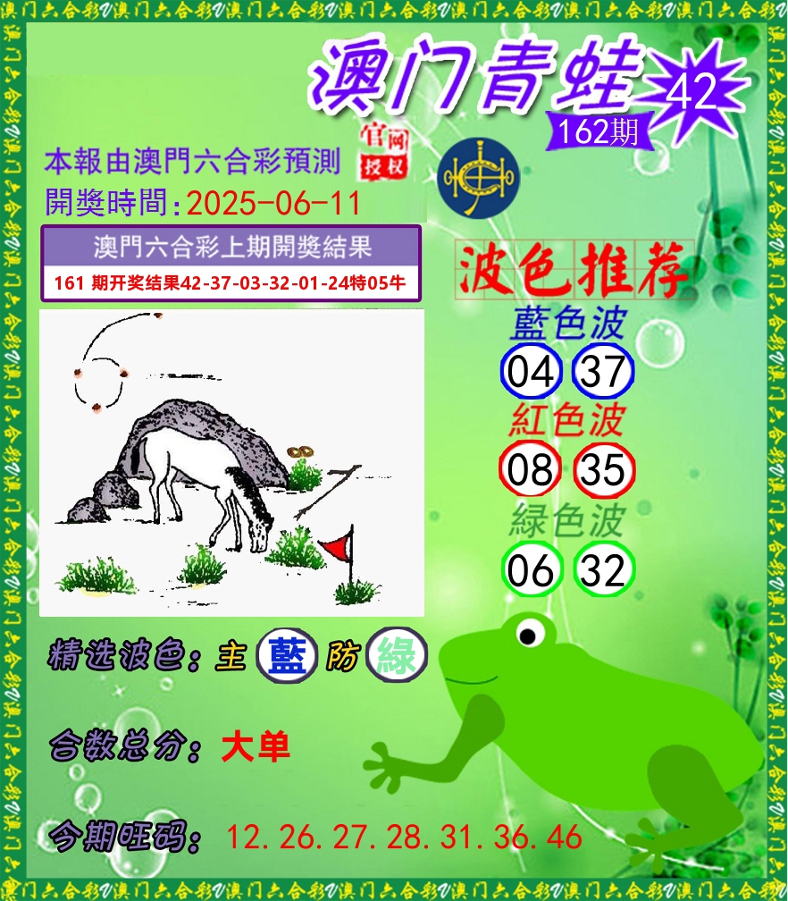 青蛙系列42 第162期