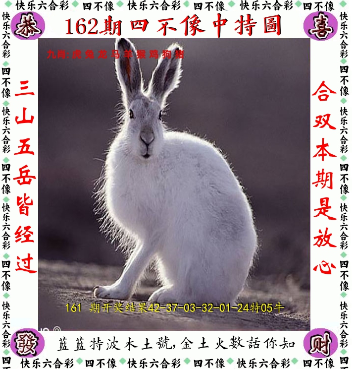 四不像 第162期