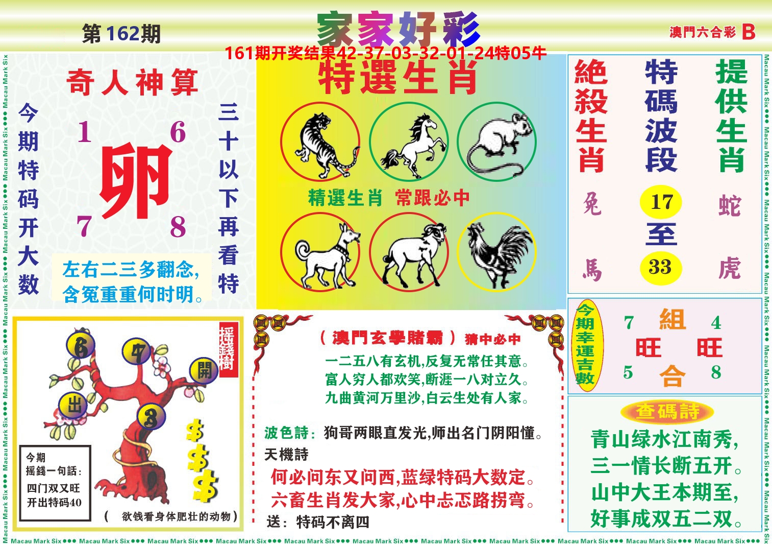 家家好彩B 第162期