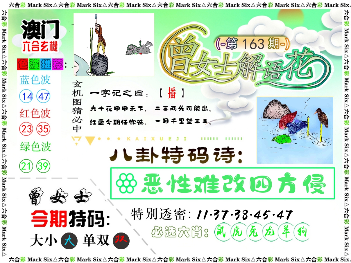 曾女士解语花 第163期