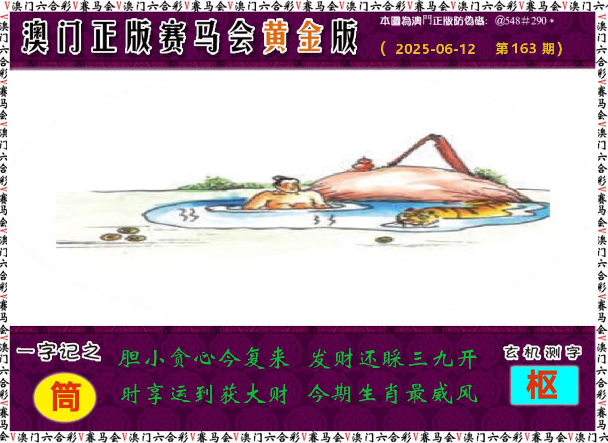 赛马会黄金版 第163期