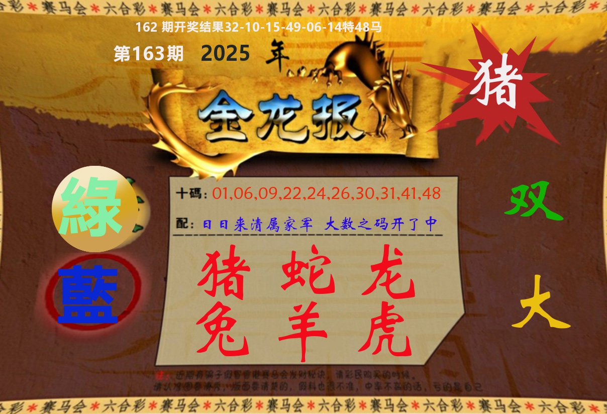 金龙报 第163期
