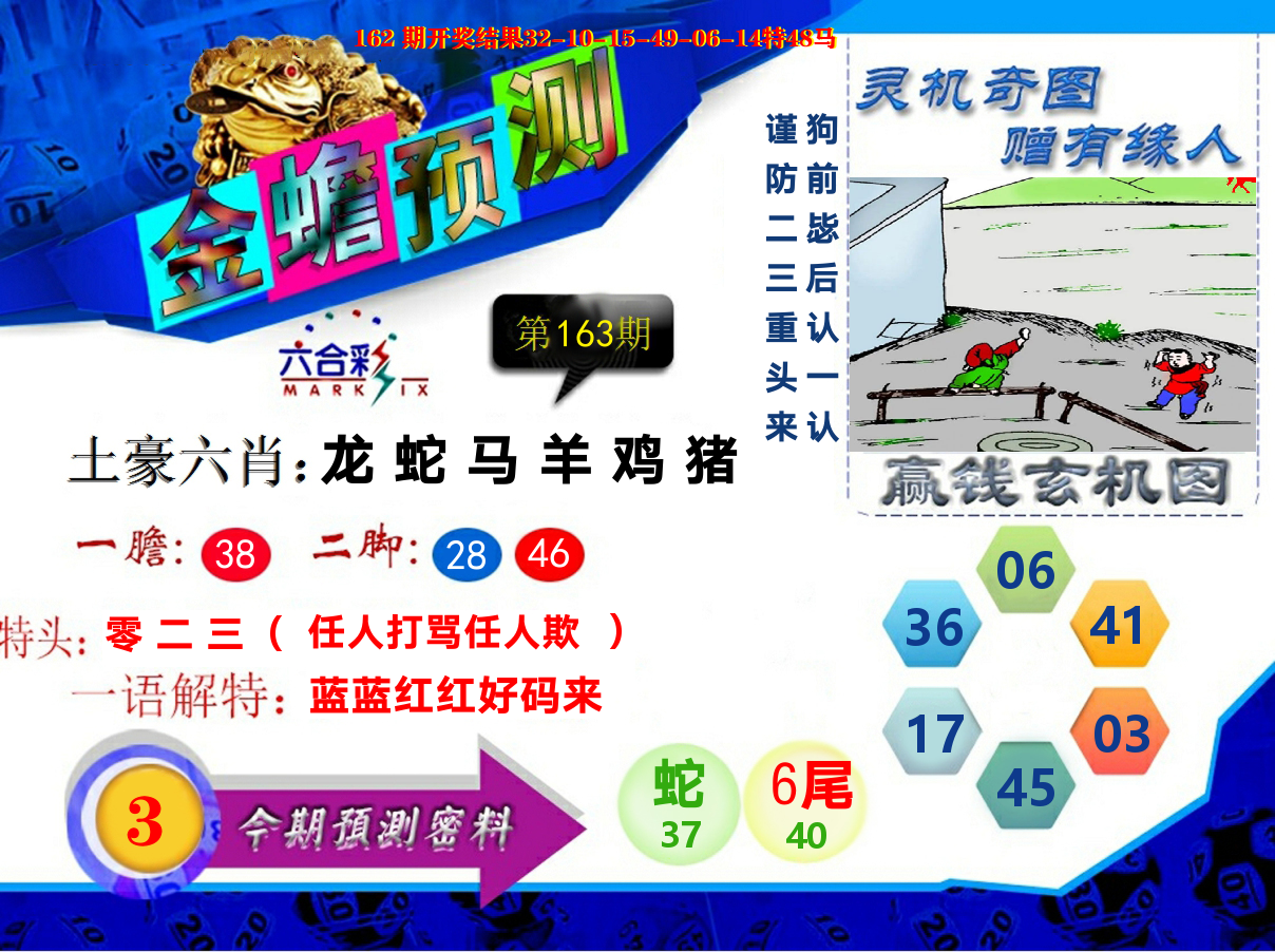 金蟾预测 第163期