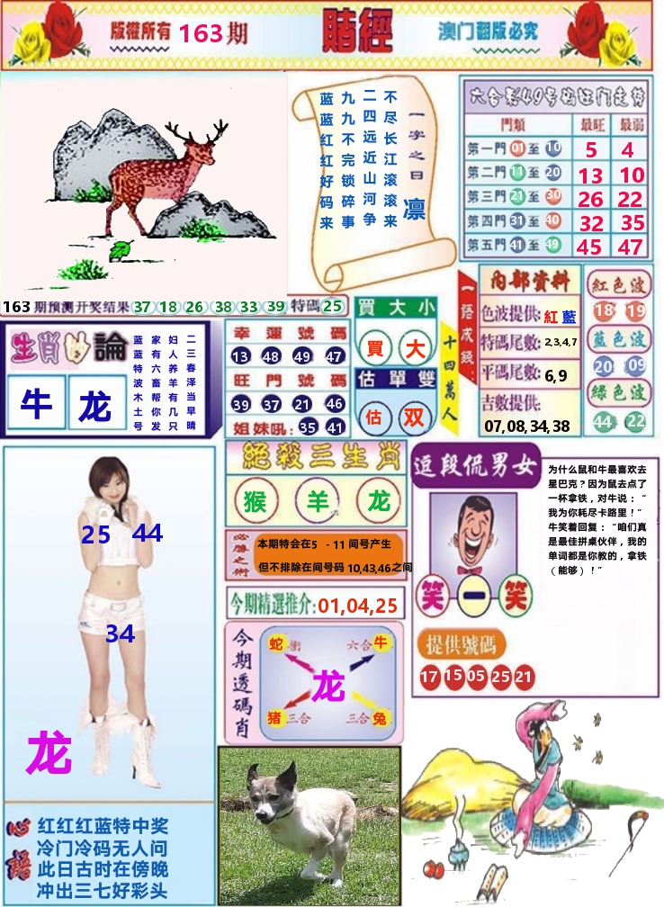 澳门赌经 第163期