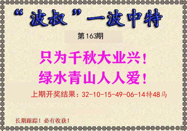 波叔中特 第163期