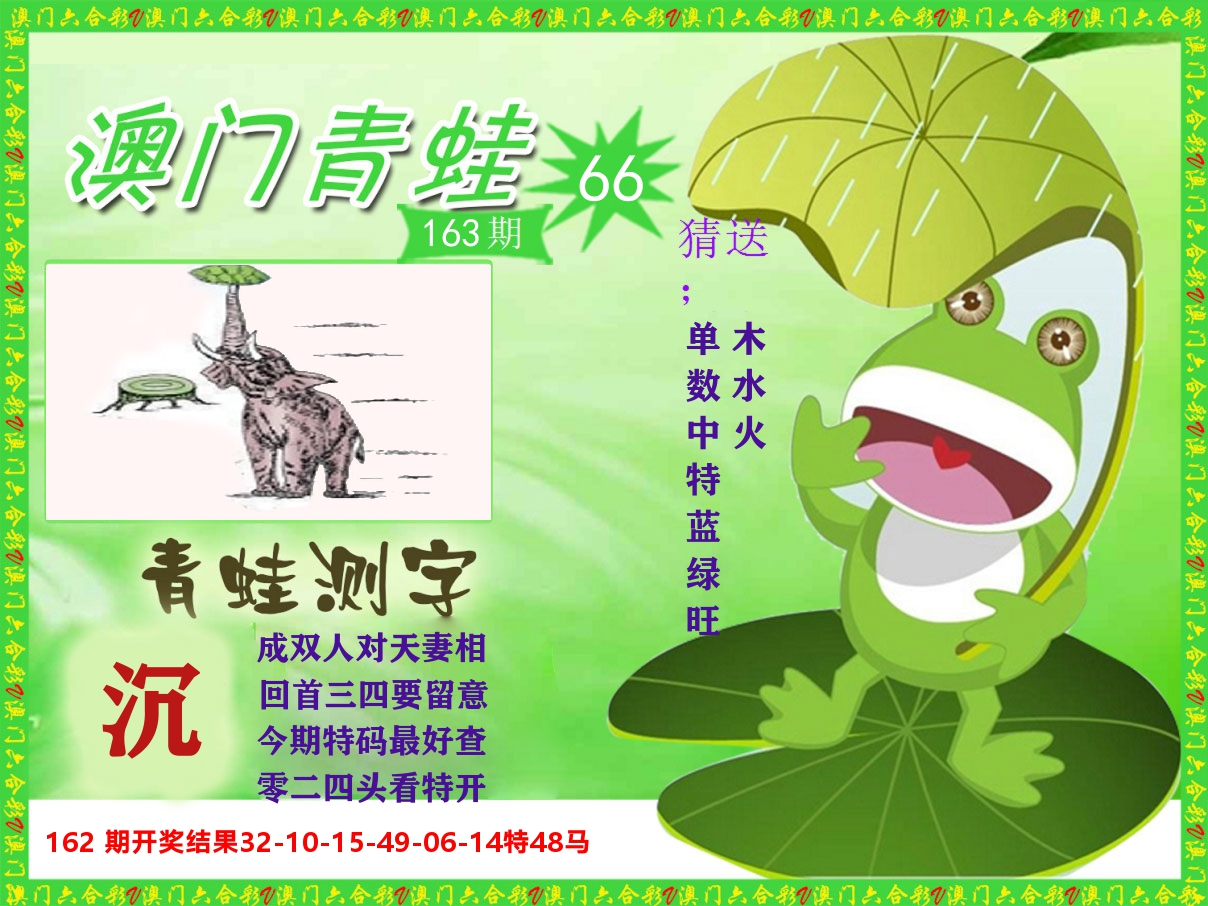 青蛙系列66 第163期