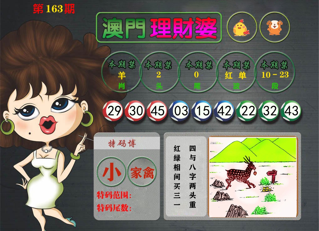 理财婆 第163期