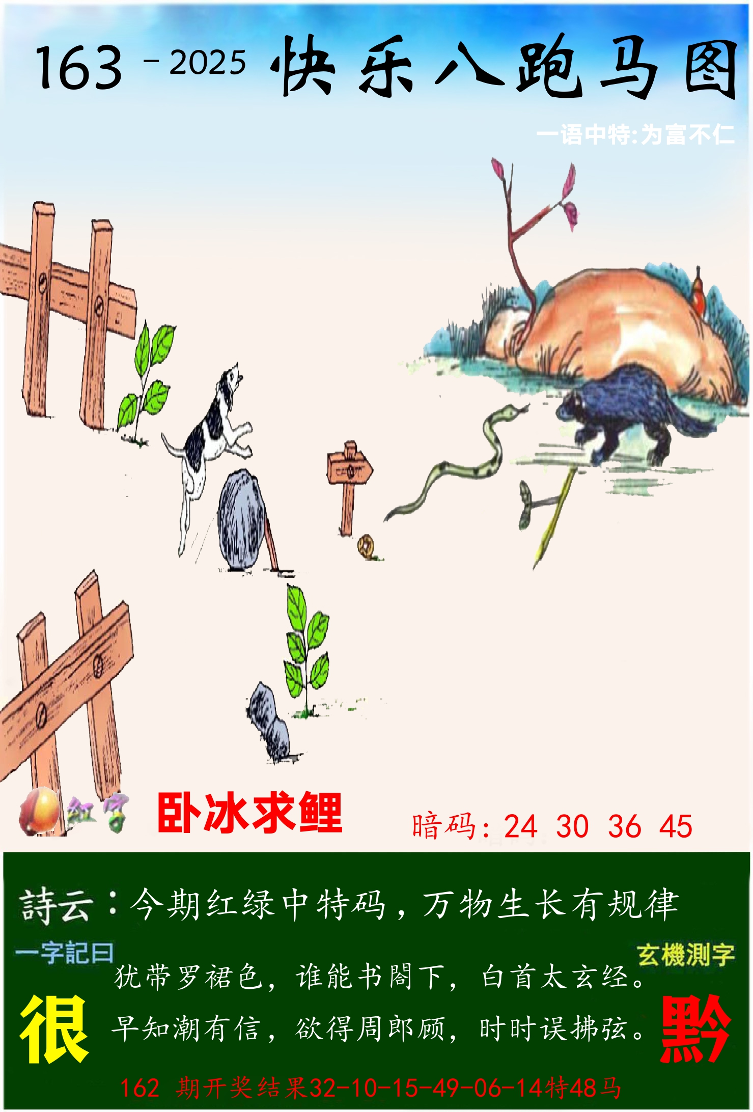 澳门跑马 第163期