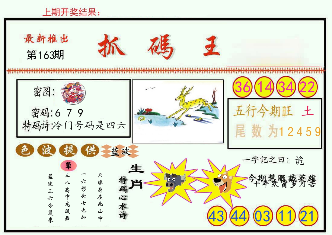 最新抓码王 第163期