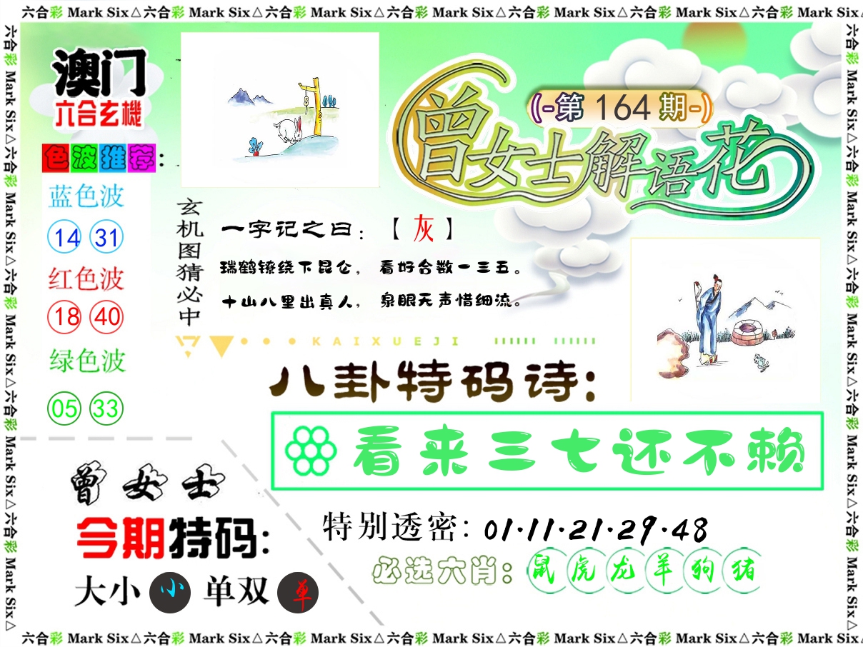 曾女士解语花 第164期