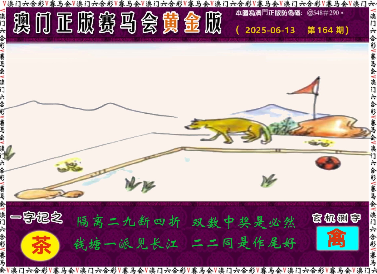 赛马会黄金版 第164期