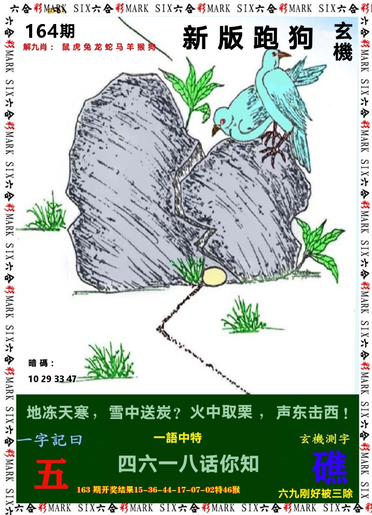 悟入其图 第164期