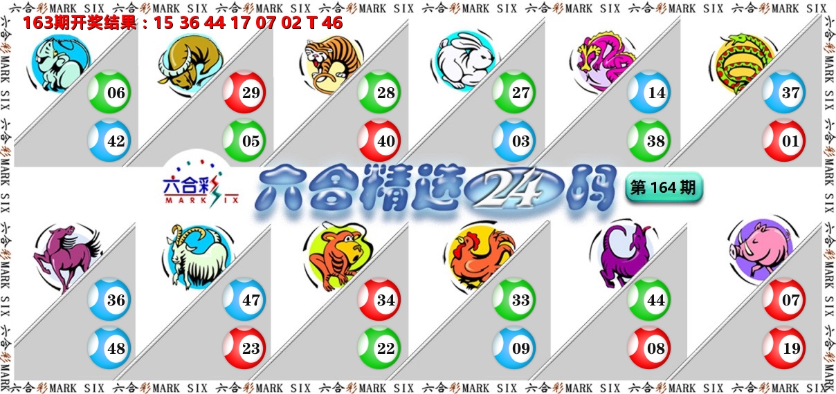 六合精选24码 第164期
