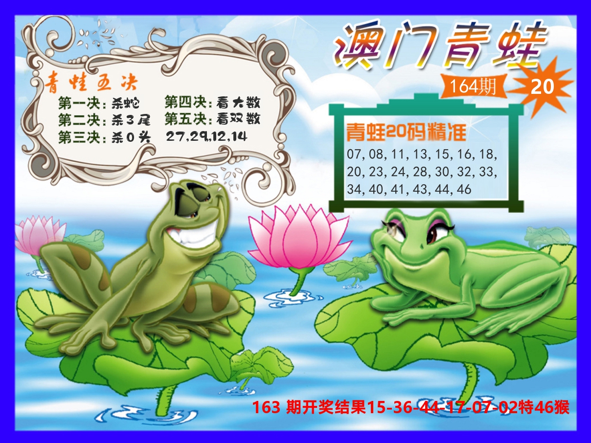 青蛙系列20 第164期