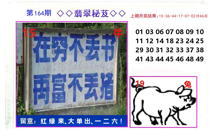 翡翠秘芨 第164期