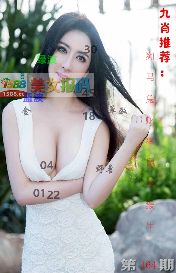 美女报码 第164期