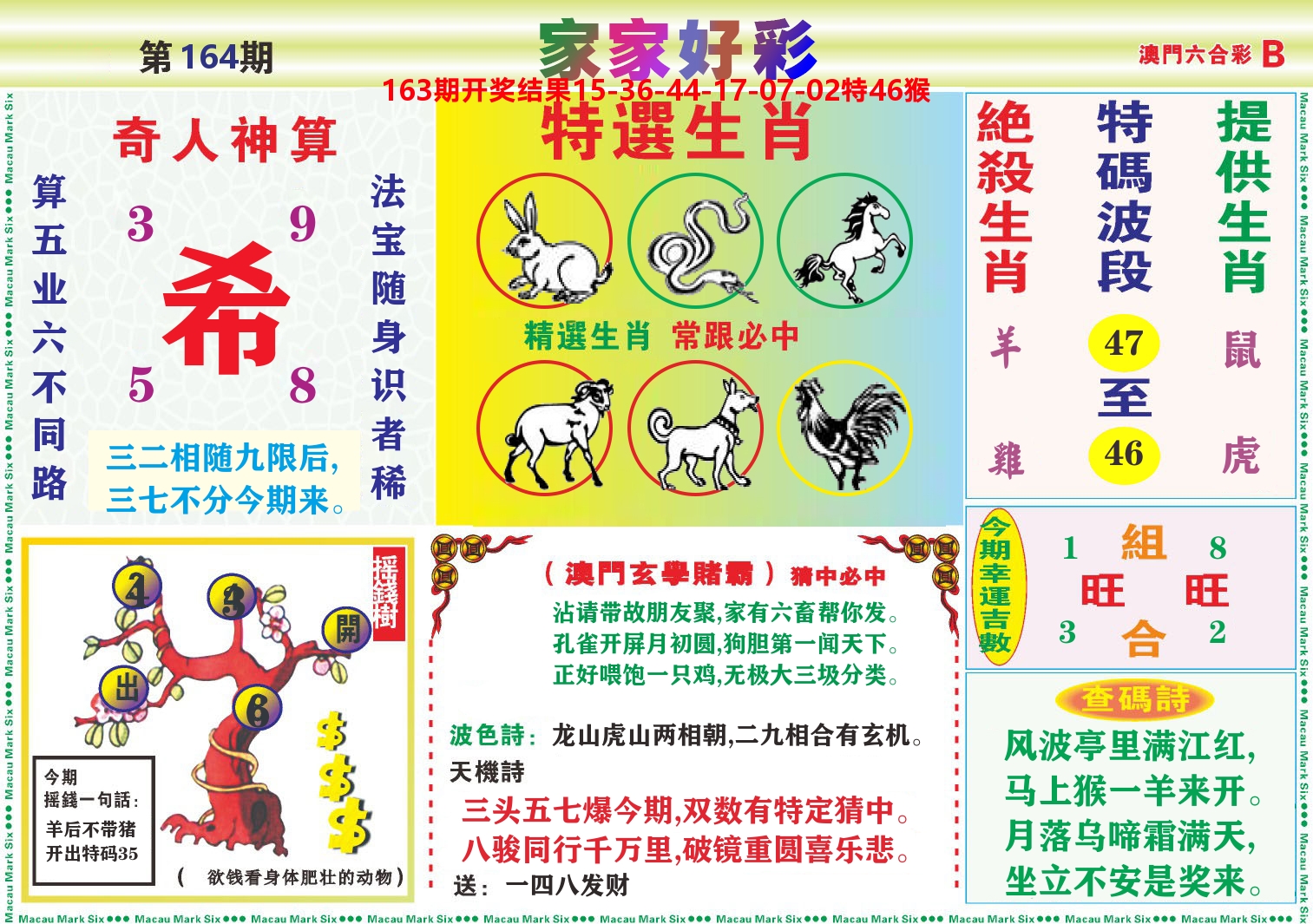 家家好彩B 第164期